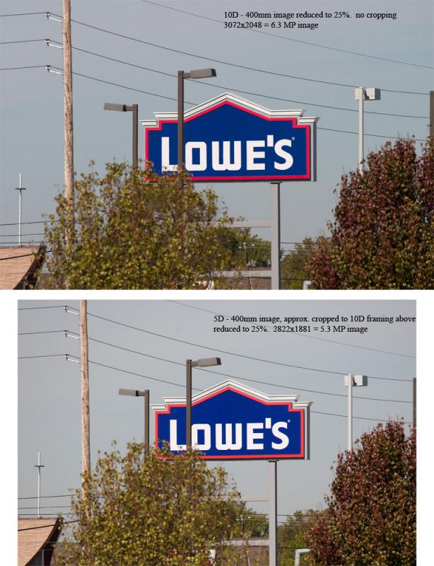 10D vs 5D.jpg