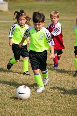 IMG_8193.jpg