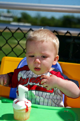 Cole's First Birthday Party!