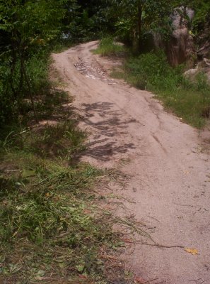 the main trail road to Mango