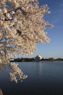 DC10_20100401_0192.JPG