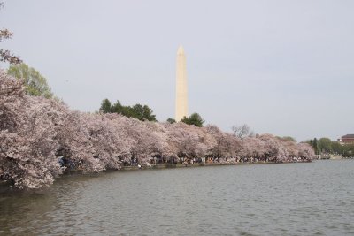 DC10_20100403_0781.JPG