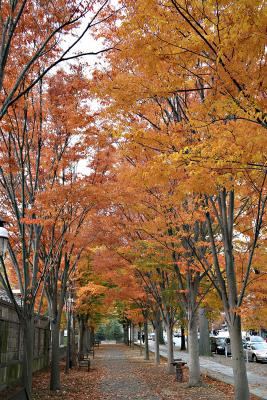 Princeton