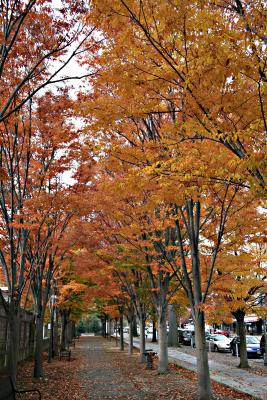 Autumn Colors 2005