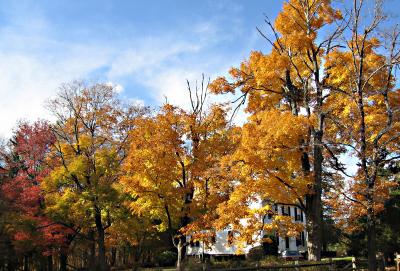 Warren, NJ