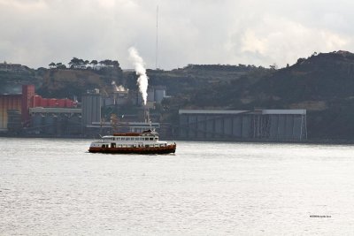 g3/61/504161/3/120345603.ba1yRZUQ.jpg