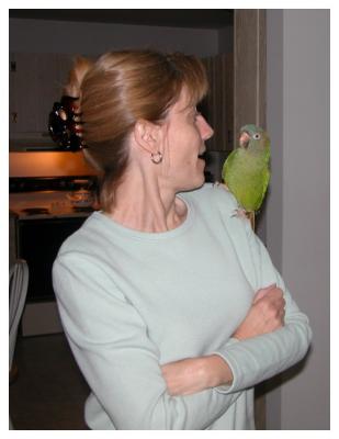 g3/61/510861/3/53008023.LuannetheGypster.jpg