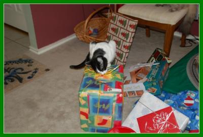 11-Christmas Day - 2005.jpg