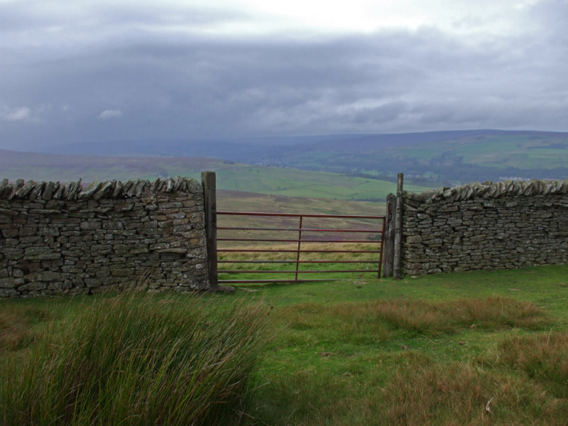 red gate