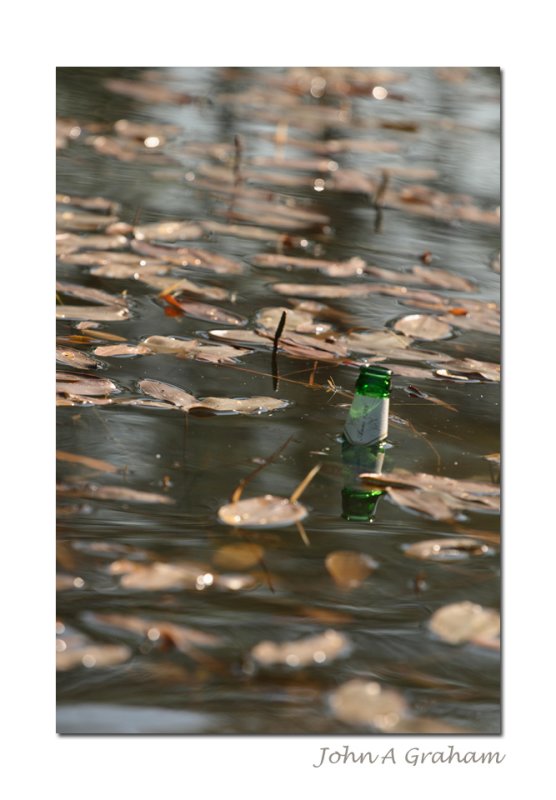 sinking a beer