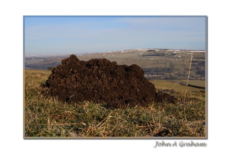 molehill mountaineering