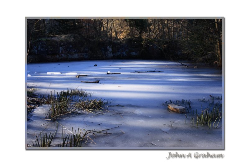 the dog pond