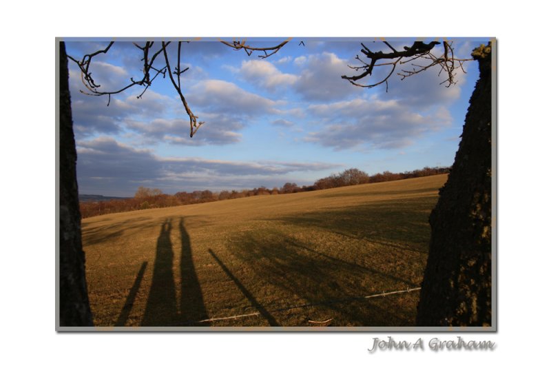 Johnny's guide to photographing lambs