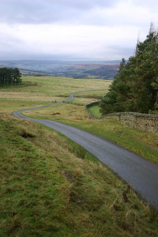 down the lane