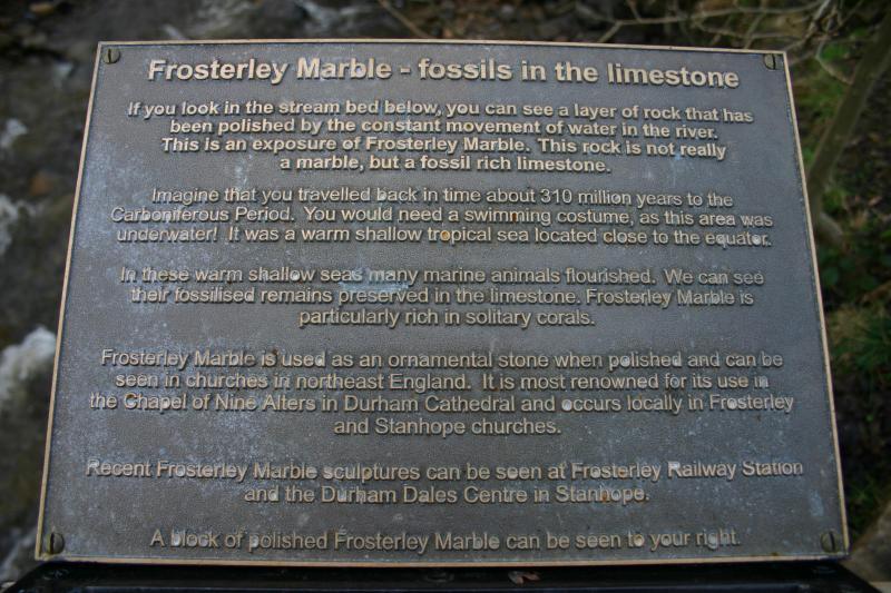 Frosterley Marble