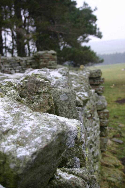 Dry stone wall with a sugar coating