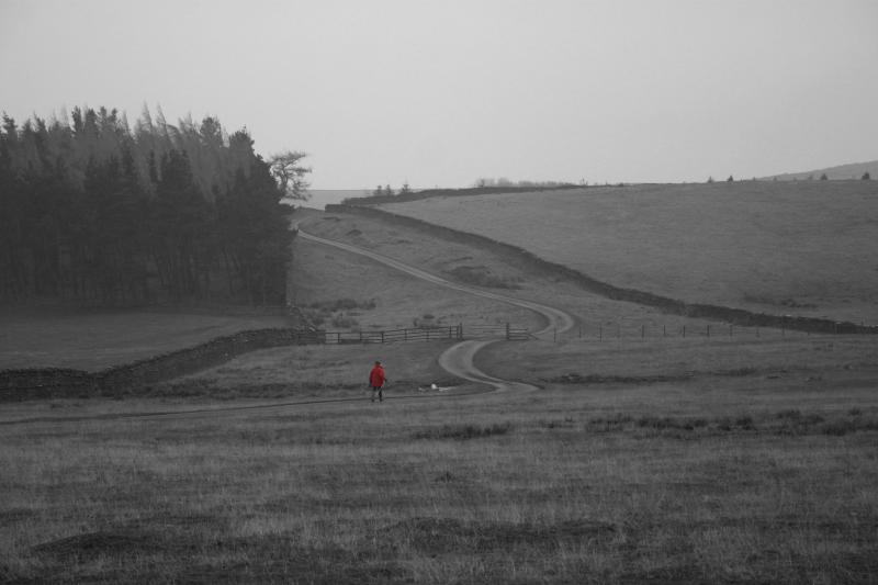 red and winding road