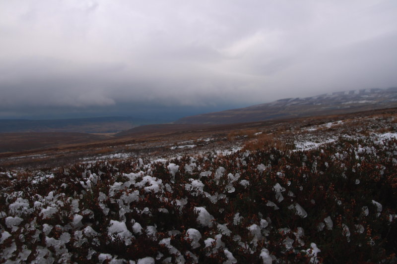 first snow