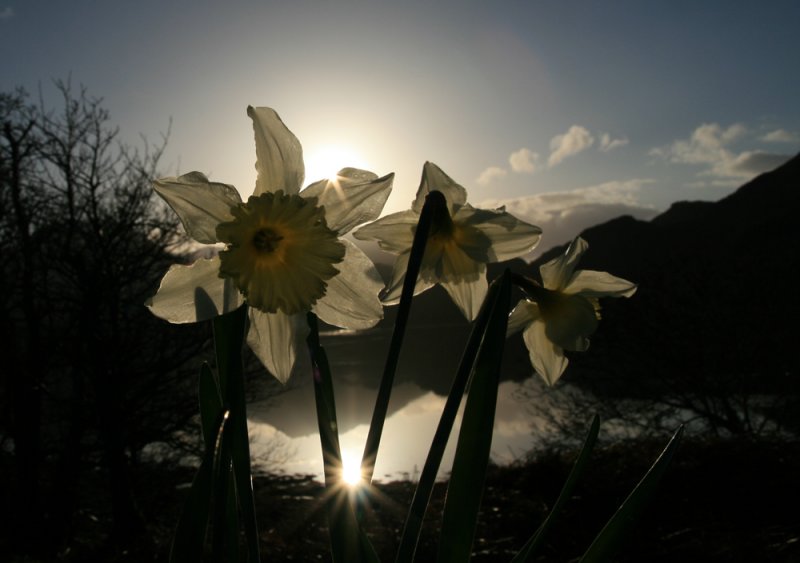 Springtime in Scotland 2008