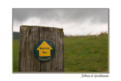 Pbasers doing it the Weardale way