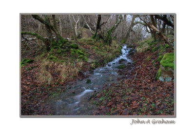 spring water