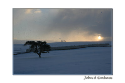 snow shower
