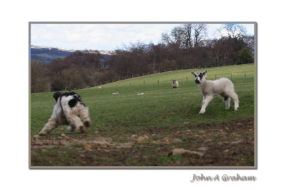 g3/61/523761/3/123074201.t8pHc1sn.jpg