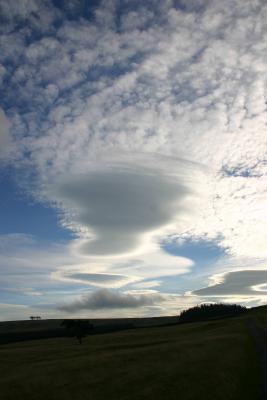 Lenticular