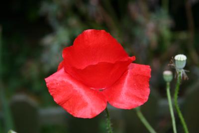 20050802 022.jpg