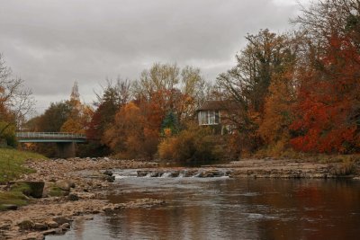 Autumn at broadwood.