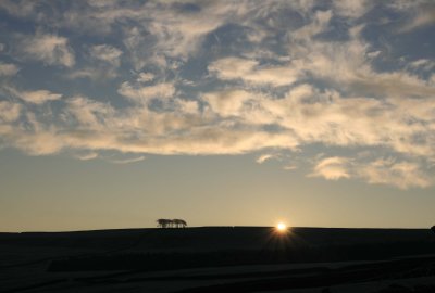 sunrise with elephants