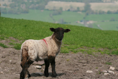 g3/61/523761/3/96852719.eUhn3YWv.jpg