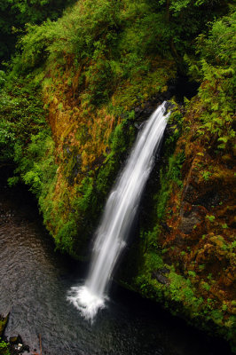 Drift Creek Falls, Study #2