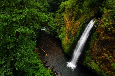 Drift Creek Falls, Study #3