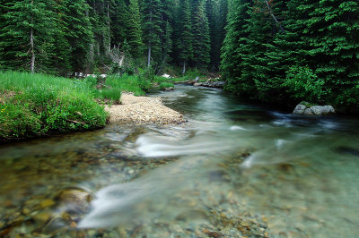 Eagle Creek, Study #1