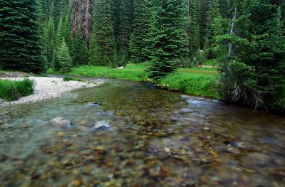 Eagle Creek, Study #2