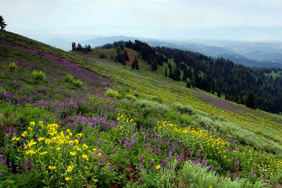 Looking east from Summit Point