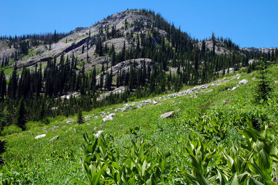 View from Eagle Lake Trail, Study #1