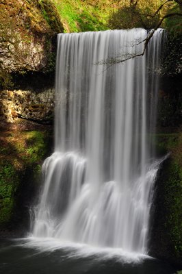 Lower South Falls, Spring Study