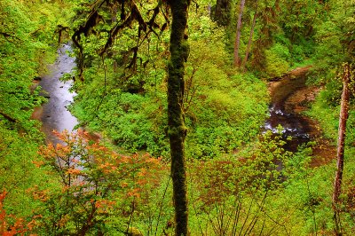 Wasson Creek Overlook