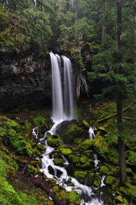 Grotto Falls, 2010 Study