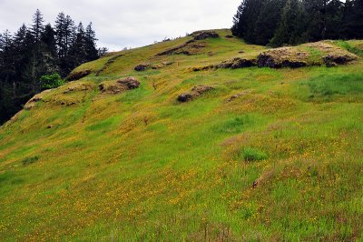 Horse Rock Ridge, facing west