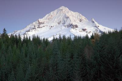 Mount Hood from road to Top Spur