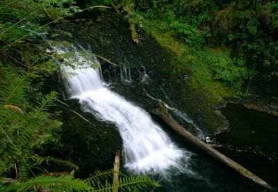 Drake Falls