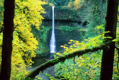 Middle North Falls, Autumn Study #1