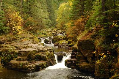 Brice Creek Falls, Autumn Study