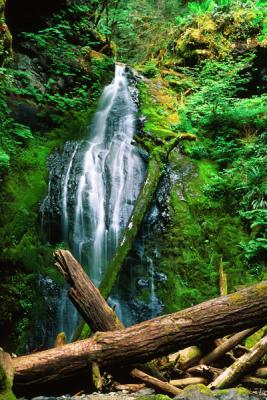 Lower Trestle Creek Falls #2
