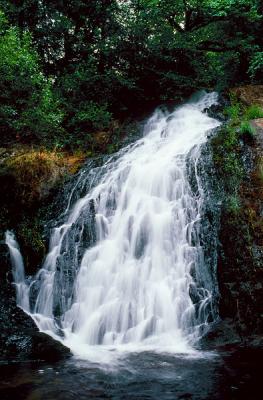 Green Peak Falls #2