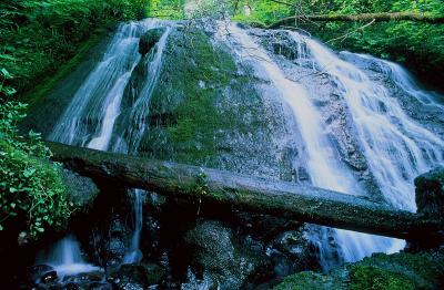 Alder Glen Falls