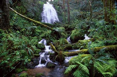 Gunaldo Falls